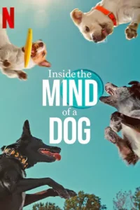 Inside the Mind of a Dog (2024) อ่านใจสุนัข